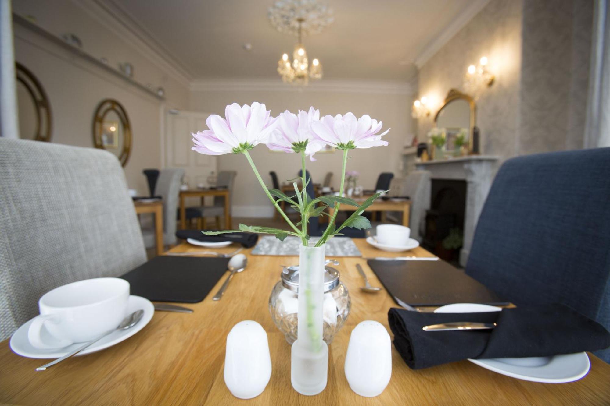 Bed & Breakfast Rosslyn House *